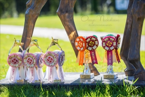 SUMMER CUP 2015