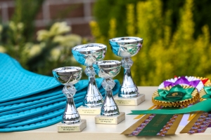Summer Cup. Приглашаем к участию!