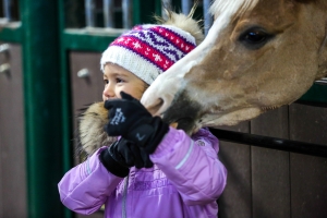 Уроки верховой езды для самых маленьких