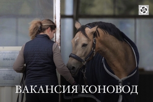 ВАКАНСИЯ КОНОВОД