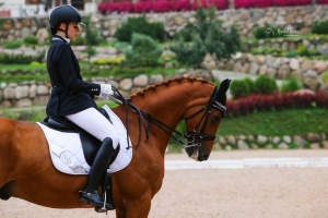 Первенство России среди Юношей в Maxima Stables