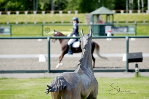 Imperial Cup 2018
