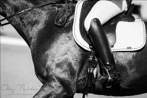 Первый день соревнований в Maxima Stables