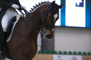 Таисия Русакова на Maxima Gala Cup