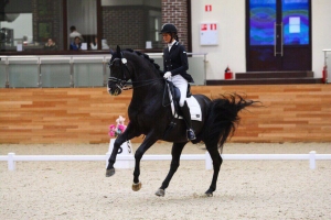 спортсмены FORSIDE в MAXIMA STABLES