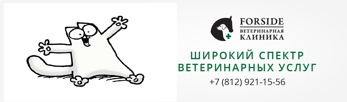 Ветклиника